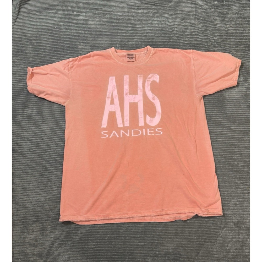 Comfort Colors Unisex Vintage‎ Shirt  Size Large
